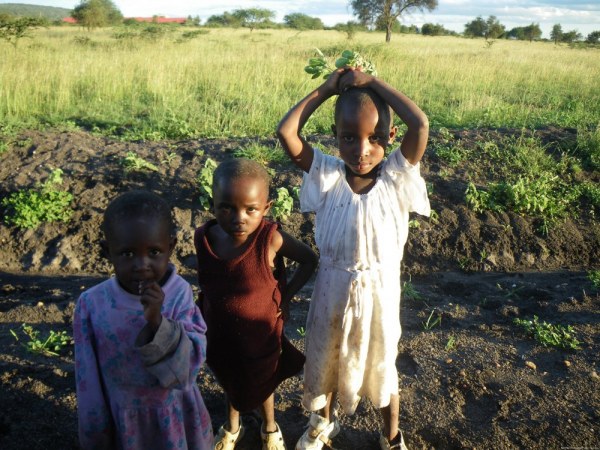 Nduko, Ani, Josephine