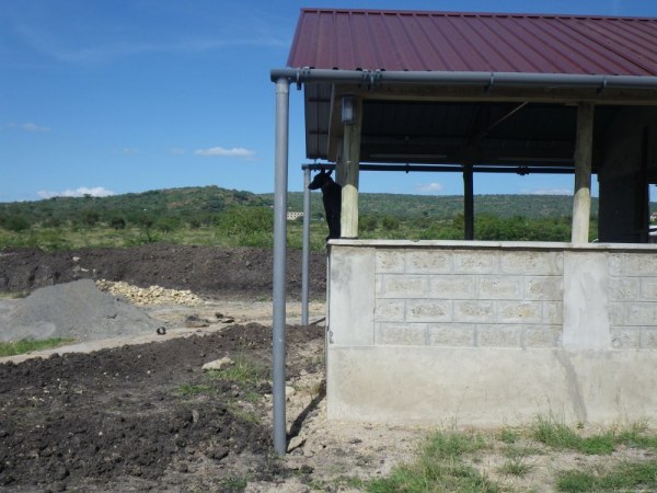 imgp6004
