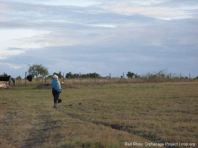 Joyce walking