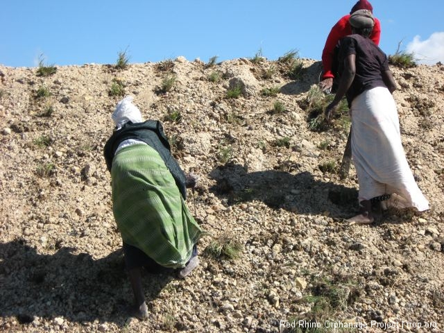 Women planting