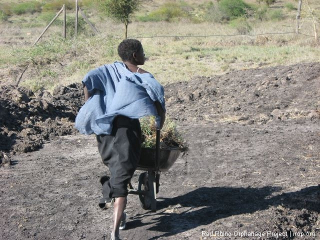 Wheelbarrow