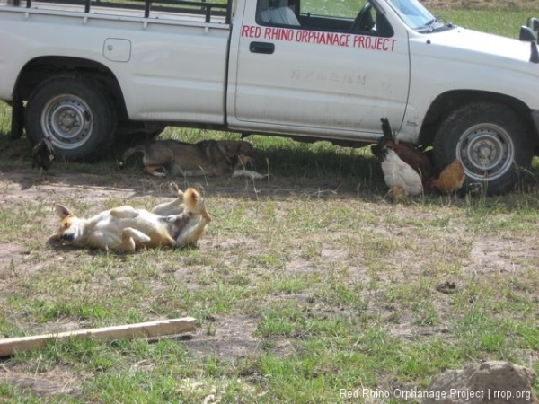 It\'s all pretty hard work, but, of course, some of the crew have their own ideas about how to pass a hot afternoon.