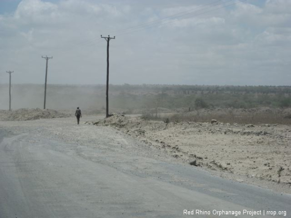 I had to go pick up some lumber, and saw this solitary soul walking along the road on the way.