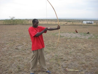 The new Masai bow and arrows.