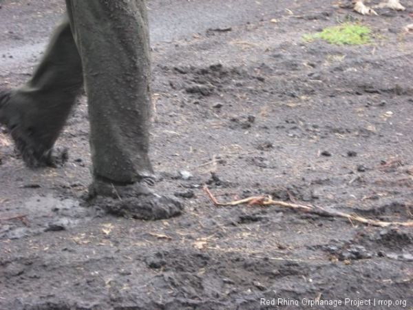 This one of the guy\'s feet who was pushing the truck. He\'s not wearing shoes.