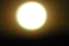 And the night sky, well, this is the moon last night rising over the Lukenya hills. But it's Venus that I want you to see. In California Venus is a diamond. Here she is a pearl, round, full, softly luminescent, pendulous, impossible to stand under safely.