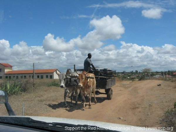 This is a friend of Peter\'s whose cart was loaded with 20 liter Gerry cans filled with water. I never did figure out why he was riding backwards.