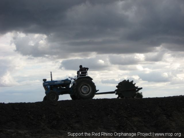 Gilbert and Daniel compacting dirt in threatening but dry conditions.