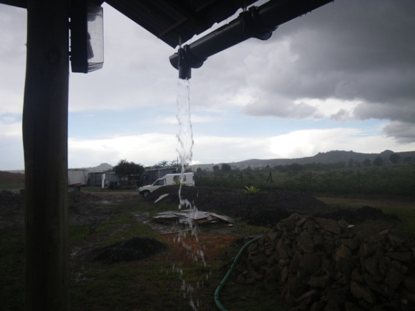 It started to rain about 4pm. Our guttering is up on the kitchen building, but an order of joints and connectors that was fabricated incorrectly has prevented us from being able to tie it in with the underground piping system to the storage tanks. That should be remedied next week.