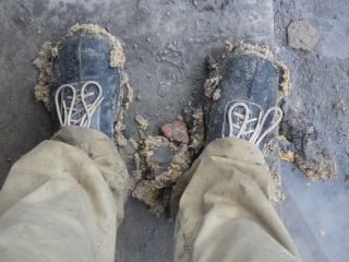 and collected, in about ten steps, some of the fly paper soil on my shoes.