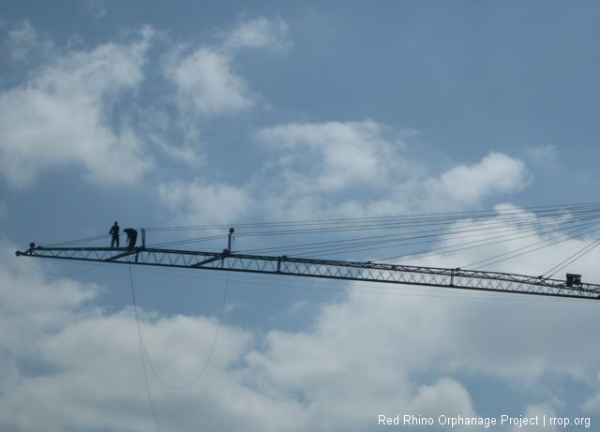 As I was driving from Nairobi to the property early this morning, these two were doing the high wire thing under African skies.