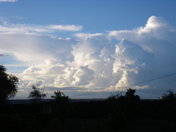 Or, if Nduko, from her spot on the road just across our fence had a northeastern urge and followed it, she would have seen this cumulus portrait gallery (Abe Lincoln, the Minotuar),