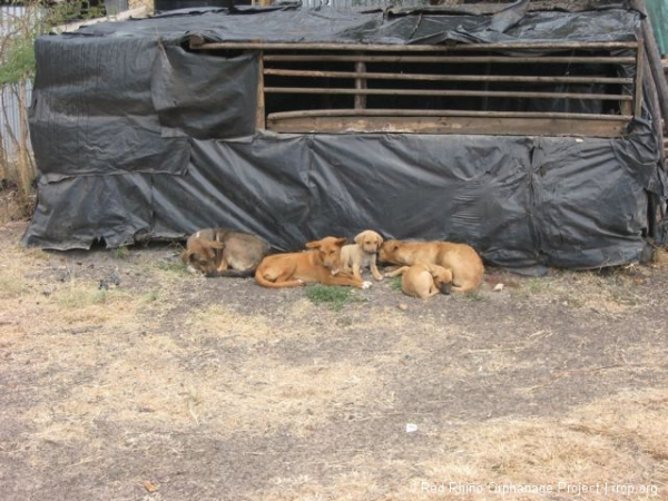 And they found a little protection from the rain on the leeward side of the cooking shack.