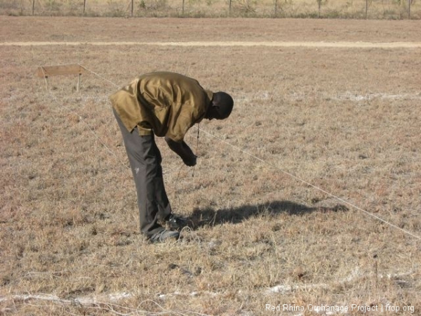 Gilbert and I put up the batter boards and laid out the string grid for the excavation of the foundation footings