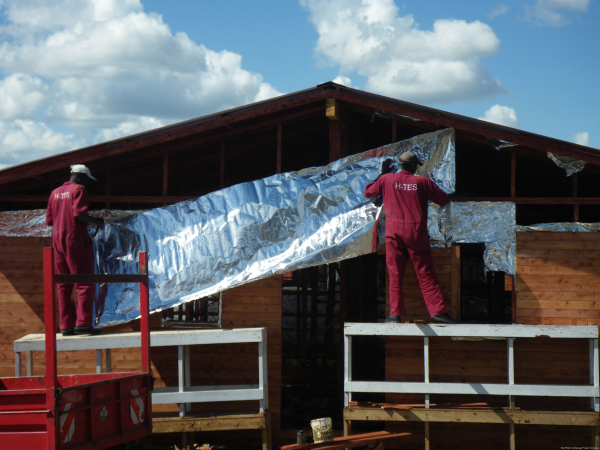 Moses and his pal putting the insulation sheeting under the tongue and groove cedar siding. Actually with the lumber supply difficulty, some of it is now red eucalyptus.