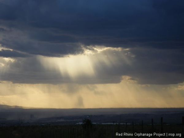 and help hold up a roof on the Kapiti Plain, under the miraculous African sky.