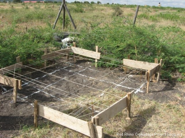 Once flexible Gilbert has done, we remove the string, but not the corresponding marking nails in the batter boards,